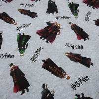 Stoff Baumwolle Jersey Lizenzdruck Harry Potter Hermine Ron grau melange bunt Kinderstoff Kleiderstoff Bild 2