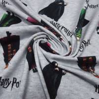Stoff Baumwolle Jersey Lizenzdruck Harry Potter Hermine Ron grau melange bunt Kinderstoff Kleiderstoff Bild 4