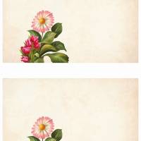 5 Bogen je 2 Motive, Bastelpapier, Scrapbooking, Geschenkpapier Frühlingsblumen Bild 1