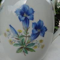 Kaffeekanne mit Alpenblumen dekoriert. Rarität! Krautheim Selb. gemarkt. Füllmenge 1700 ml. Bild 2