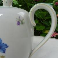Kaffeekanne mit Alpenblumen dekoriert. Rarität! Krautheim Selb. gemarkt. Füllmenge 1700 ml. Bild 3
