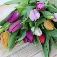 Tulpen frisch Bund gemischte Farben Bild 1