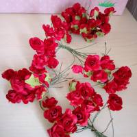 70 Rosenblüten Diorrosen in rot ca.13 mm Rosen für die Tischdeko oder Geschenke Bild 2