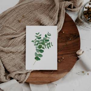 Postkarte Eukalyptus Zweig schlicht - Botanische Grußkarte Zweig - Dankeskarte neutral Branches - Illustration Zweig Bild 2