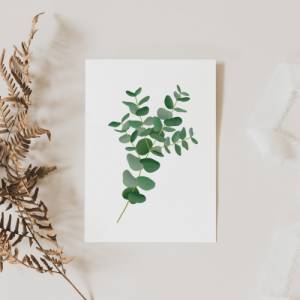 Postkarte Eukalyptus Zweig schlicht - Botanische Grußkarte Zweig - Dankeskarte neutral Branches - Illustration Zweig Bild 3
