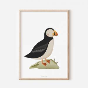 Poster Puffin / Papageientaucher Kinderzimmer - Island Kinderposter Vogel - Babyzimmer Poster - Poster Puffin Kinder Bild 1