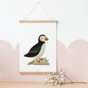 Poster Puffin / Papageientaucher Kinderzimmer - Island Kinderposter Vogel - Babyzimmer Poster - Poster Puffin Kinder Bild 2