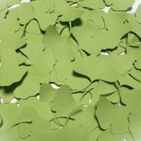 100 Ginkgo Blätter gestanzt, hellgrün, grün, Tonpapier, Streudeko, Stanzteile, Scrapbooking, Kartengestaltung Bild 2