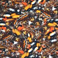 ♕ Jersey mit Schmetterlingsflügel braun-orange Federn50 x 150 cm Nähen Stoff ♕ Bild 3