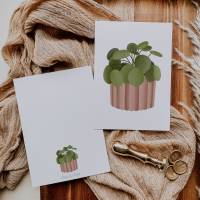 Postkarte Pflanze Pilea Topfpflanze Zimmerpflanze Botanische Grußkarte - Dankeskarte neutral Boho Plant Lover Illustrati Bild 2