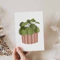 Postkarte Pflanze Pilea Topfpflanze Zimmerpflanze Botanische Grußkarte - Dankeskarte neutral Boho Plant Lover Illustrati Bild 4