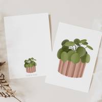 Postkarte Pflanze Pilea Topfpflanze Zimmerpflanze Botanische Grußkarte - Dankeskarte neutral Boho Plant Lover Illustrati Bild 5