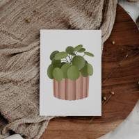 Postkarte Pflanze Pilea Topfpflanze Zimmerpflanze Botanische Grußkarte - Dankeskarte neutral Boho Plant Lover Illustrati Bild 6