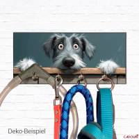 Hundegarderobe IRISCHER WOLFSHUND Wandgarderobe, Leinenhalter┊tolle Geschenkidee für Hundeliebhaber Bild 3