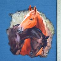 ♕ French Terry Panel mit Pferden Pferdemädchen Stenzo 75 x 150 cm NEU 3-teilig ♕ Bild 3