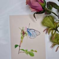 Kunstdruck mit Schmetterling Bild 1