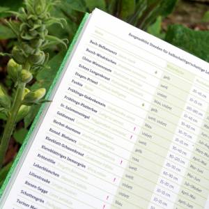 GARTENTAGEBUCH XL, Garten-Notizbuch, Buch für Hobbygärtner, mit ewigem Kalender und Tipps für jeden Monat, Geschenk Weih Bild 9