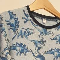 langarm T-Shirt "Dinosaurier" aus BIO Baumwolle Bild 4