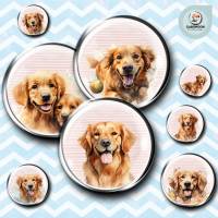 Cabochon Vorlagen Bilder Bogen - Golden Retriever Hunde - 10 mm, 12 mm, 14 mm und 25 mm rund Bild 1