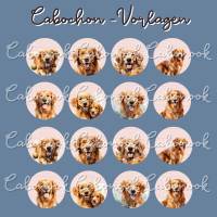Cabochon Vorlagen Bilder Bogen - Golden Retriever Hunde - 10 mm, 12 mm, 14 mm und 25 mm rund Bild 3