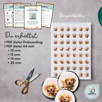 Cabochon Vorlagen Bilder Bogen - Golden Retriever Hunde - 10 mm, 12 mm, 14 mm und 25 mm rund Bild 4
