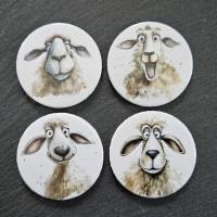 4er Set Buttons / Magnete: Verrückte Schafe (1) ~ 38mm Bild 1