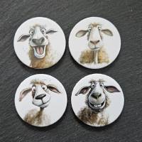 4er Set Buttons / Magnete: Verrückte Schafe (2) ~ 38mm Bild 1
