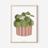 Poster Pilea Zimmerpflanze Boho Pflanze Botanischer Print Zweig - Wanddeko Topfpflanze Plant - Illustration Blätter Bild 2