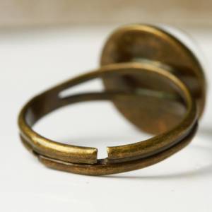Ring gepresste Blüten Dillblüten Gießharz antik bronzefarbener Vintage Style oder modern Silber Naturschmuck Bild 3