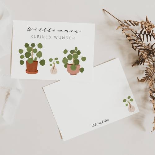 Postkarte Baby Geburt "Willkommen kleines Wunder" - Pilea Pflanze - Pflanze mit Ableger Geburtskarte Geschenk 