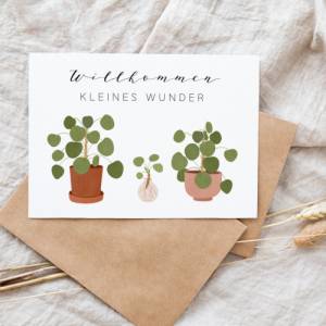 Postkarte Baby Geburt "Willkommen kleines Wunder" - Pilea Pflanze - Pflanze mit Ableger Geburtskarte Geschenk Bild 6