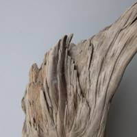 Treibholz Schwemmholz Driftwood  1  knorrige  Wurzel   Dekoration  Garten  Lampe Terrarium  43 cm hoch Bild 2