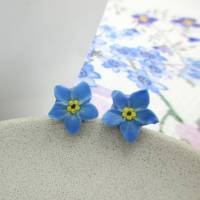 Kleine Ohrstecker, Vergissmeinnicht Ohrringe Polymer Clay, Polymer Clay, Blumen Ohrstecker, blaue Blumen Ohrringe Bild 3