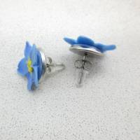 Kleine Ohrstecker, Vergissmeinnicht Ohrringe Polymer Clay, Polymer Clay, Blumen Ohrstecker, blaue Blumen Ohrringe Bild 4