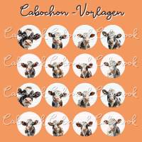Cabochon Vorlagen - Niedliche Kühe Tiere - 10 mm, 12 mm, 14 mm und 25 mm rund Bild 3