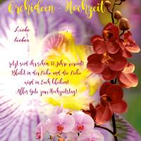 Karte Glückwünsche zur Orchideen -Hochzeit, 17. Hochzeitstag Bild 1