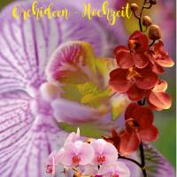 Karte Glückwünsche zur Orchideen -Hochzeit, 17. Hochzeitstag Bild 2