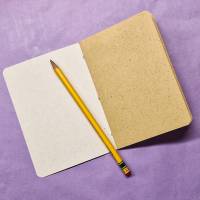 Softcover Notebook Früchte | ähnlich A6 | handgebunden | aus Graspapier | Notizheft Bild 5