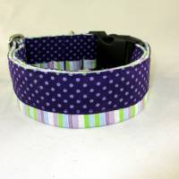 Hundehalsband "Dots and Stripes" lila/grün Halsband Designerhalsband Hund breit verstellbar mit Klickverschluss Bild 2
