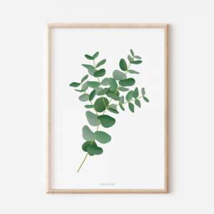 Poster Eukalyptus Zweig Botanischer Print Zweig - Wanddeko Eukalyptus - neutral Branches - Illustration Zweig  Geschenk Bild 1
