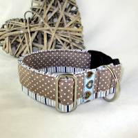 Hundehalsband "Dots and Stripes" braun/blau Halsband Halsschmuck breit für große Hunde verstellbar mit Klickvers Bild 1