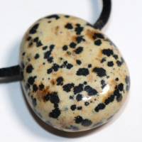 Dalmatinerstein | Halskette mit Band oder Silber 925 --- Stein-Größe: 31 x 24 mm Bild 5