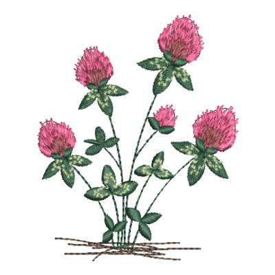 Stickdatei roter Klee