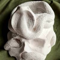 Latexform Mini-Pflanztopf Skull mit Schlange Gießform Mold - NL001339 Bild 2