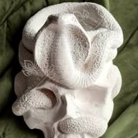 Latexform Mini-Pflanztopf Skull mit Schlange Gießform Mold - NL001339 Bild 6