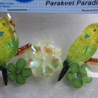 Dress it up  Button      Papagei  (1 Pck.)    Parakeet Paradise Bild 1