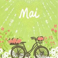 10 Postkarten, Monatskarte Mai mit Fahrrad und Blumenwiese Bild 1