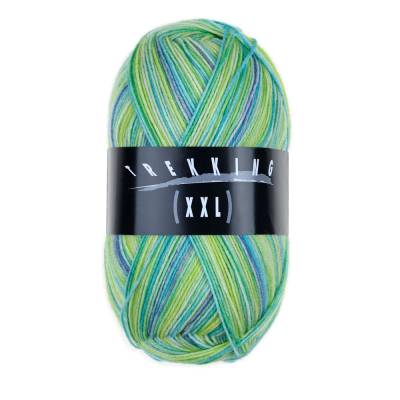 Atelier Zitron Trekking Color XXL, Sockenwolle 4fach, 100 g, Farbe 814