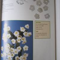Buch " Neue Ideen für Häkelblumen, mit Häkelschriften Bild 2