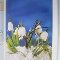 Buch " Neue Ideen für Häkelblumen, mit Häkelschriften Bild 5